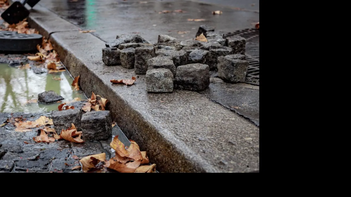 manifestations violentes