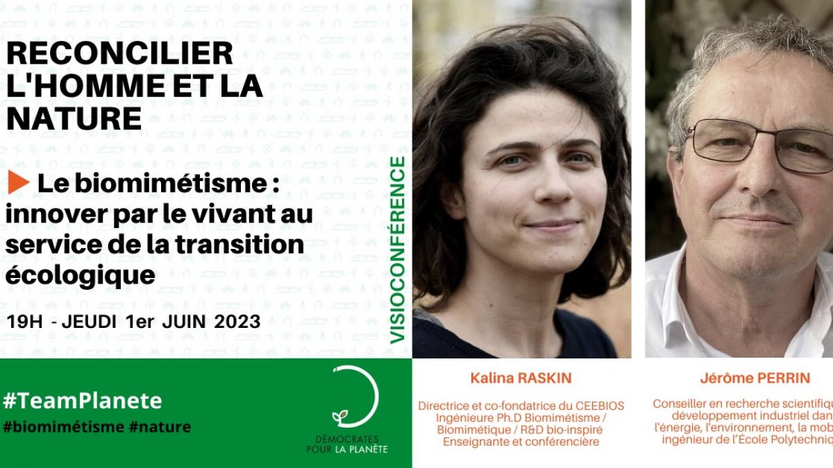 DPLP : Biomimétisme