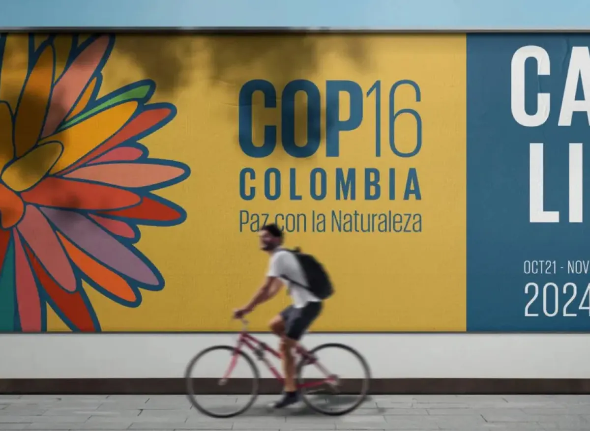 COP 16