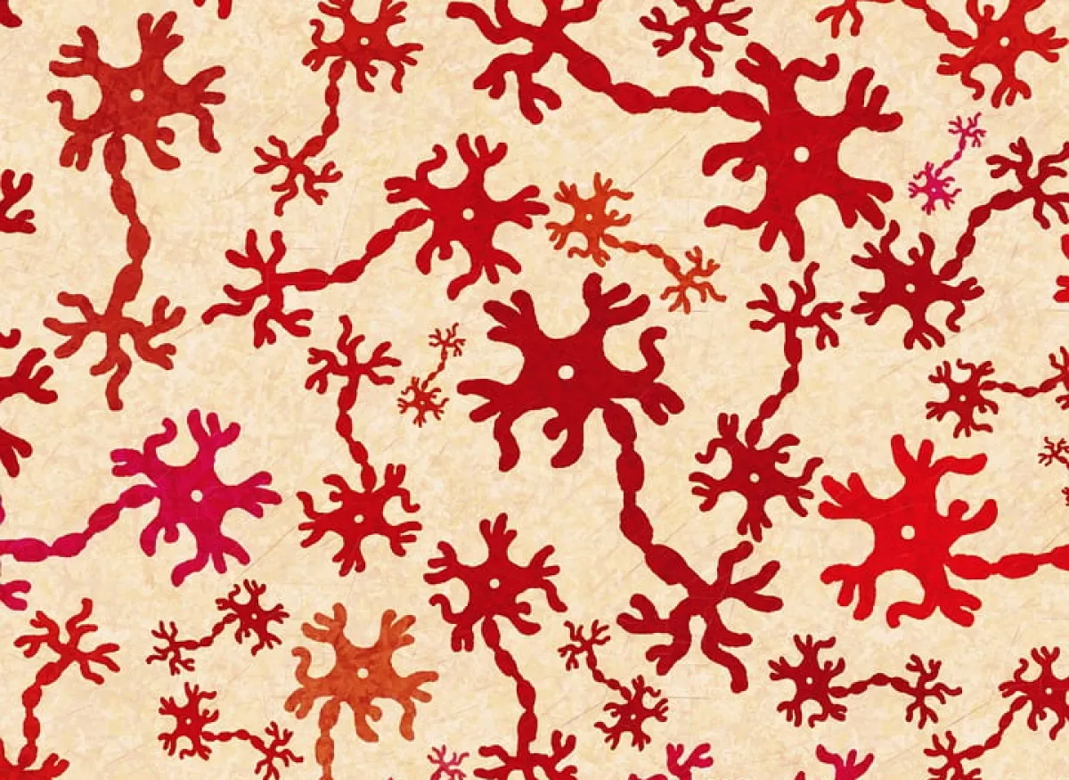 Neurones