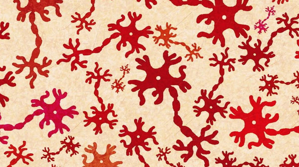 Neurones